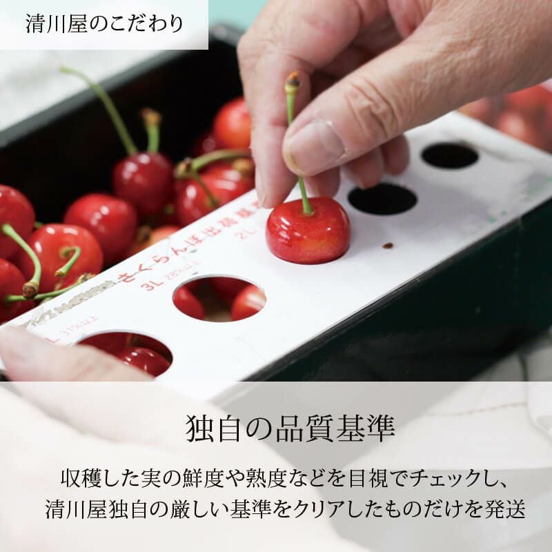 清川屋の出荷基準（紅秀峰）