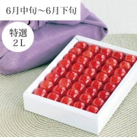 紅秀峰 特選 職人詰め 2L 500g 6月上旬～6月中旬お届け