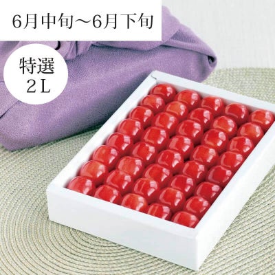 紅秀峰 特選 職人詰め 2L 500g 6月上旬～6月中旬お届け