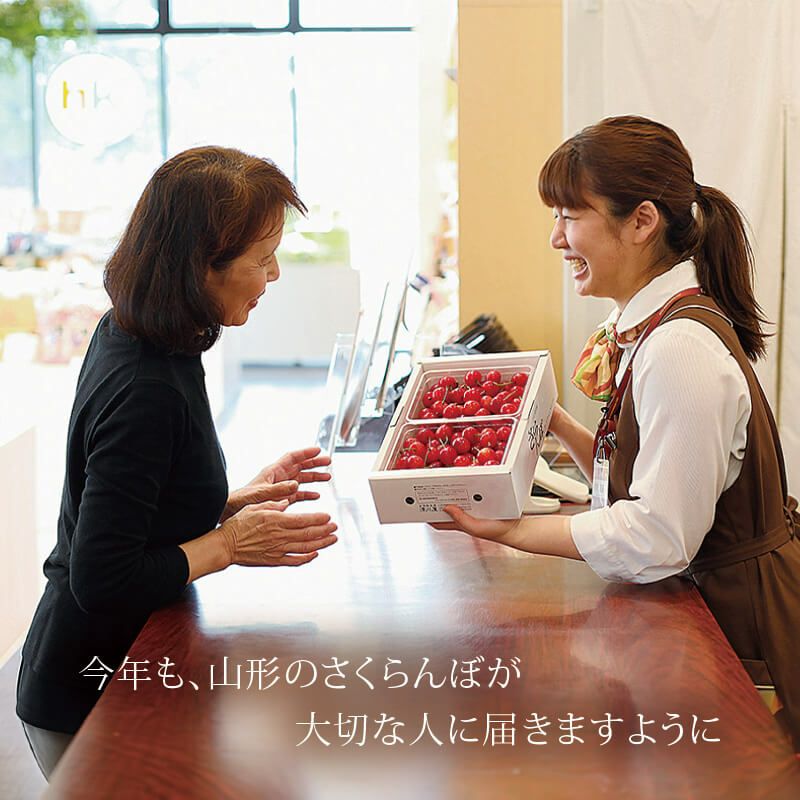 紅秀峰 特選職人詰め 2～3L500g 山形さくらんぼ大粒手詰め贈答用｜清川屋