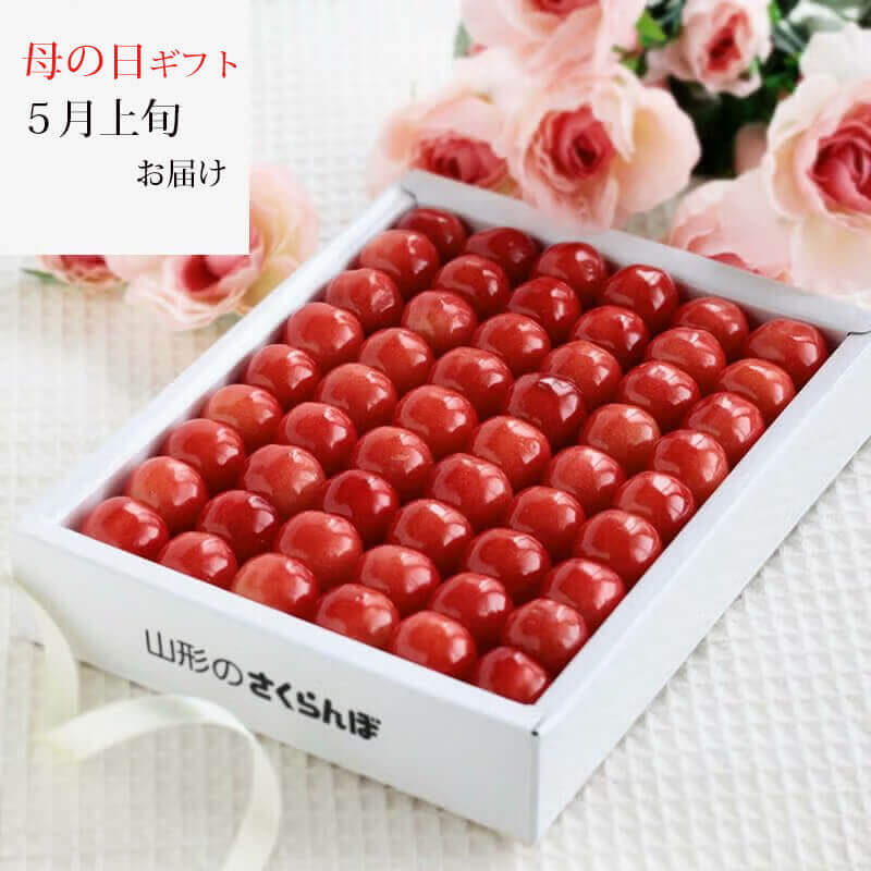 母の日 さくらんぼ 佐藤錦 職人詰め L 300g 母の日プレゼント｜清川屋