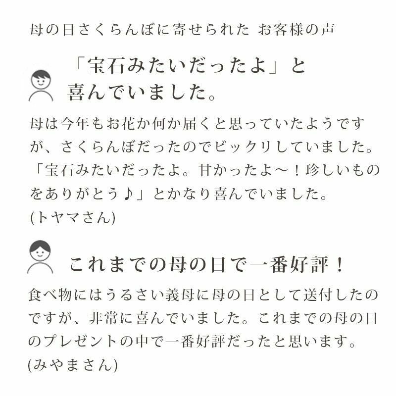 母の日 さくらんぼ 佐藤錦 手詰め Lサイズ_お客様の声