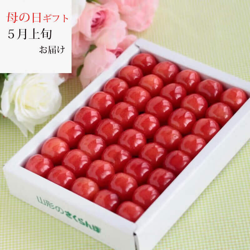 000000000031-01.jpg?size=m&w=