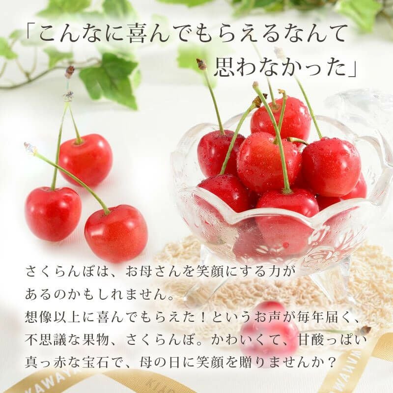 母の日さくらんぼ｜1.7万箱の実績｜佐藤錦 職人詰め大粒2L