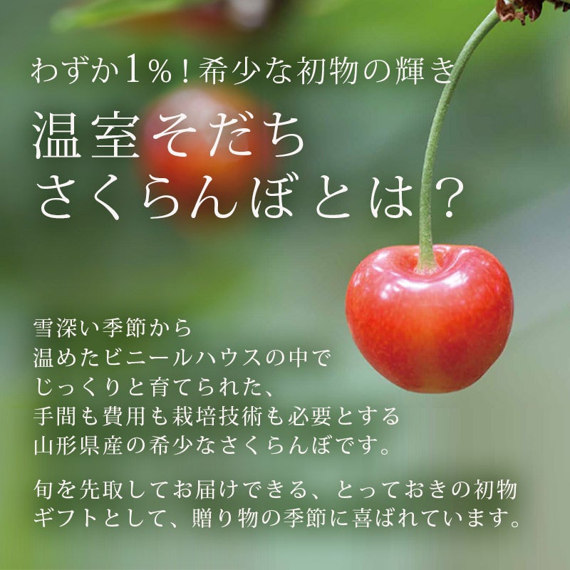母の日さくらんぼ 佐藤錦 職人詰め 2L 300g 温室そだち 5月上旬お届け