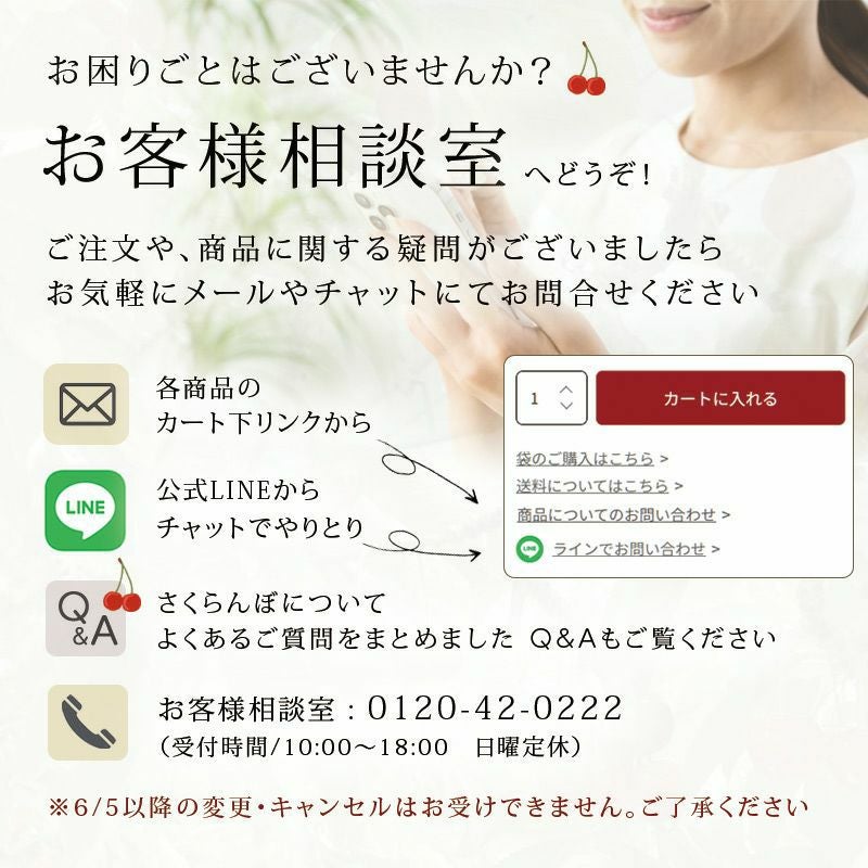 2026父の日さくらんぼ佐藤錦500g｜6/17～21届｜1.7万箱実績