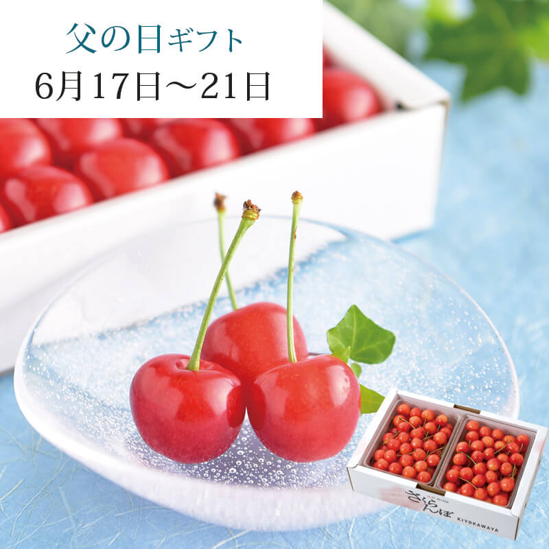 父の日さくらんぼ佐藤錦1kg｜6/17～21届｜1.7万箱実績