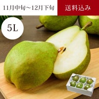 大玉 ラ・フランス 5L 6玉入イメパケ画像