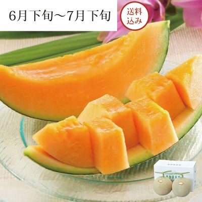 夏のクインシー 2玉イメージ画像
