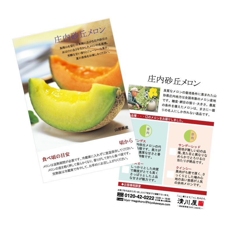 夏のクインシー 4～5玉 甘くてジューシー果肉がオレンジ色の赤肉庄内