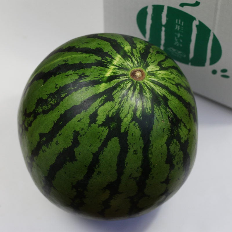 2026尾花沢スイカ通販｜人気の旬の味 特大5-6Lまだ間に合う｜清川屋