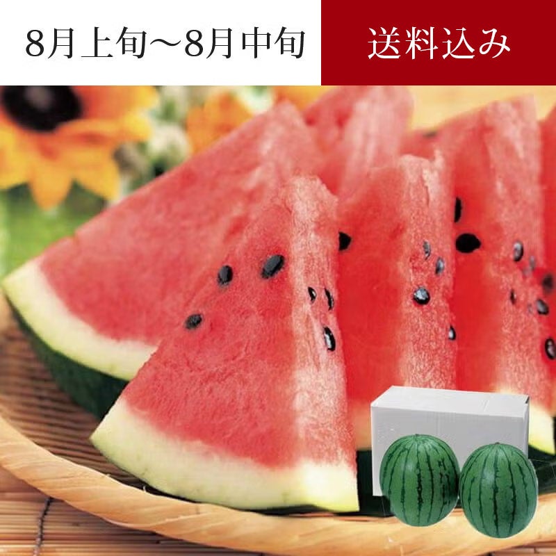 尾花沢　スイカ2玉イメージ