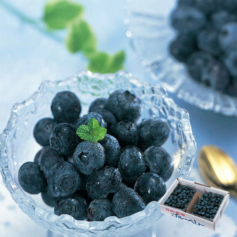 月山高原 ブルーベリー (冷凍)｜清川屋