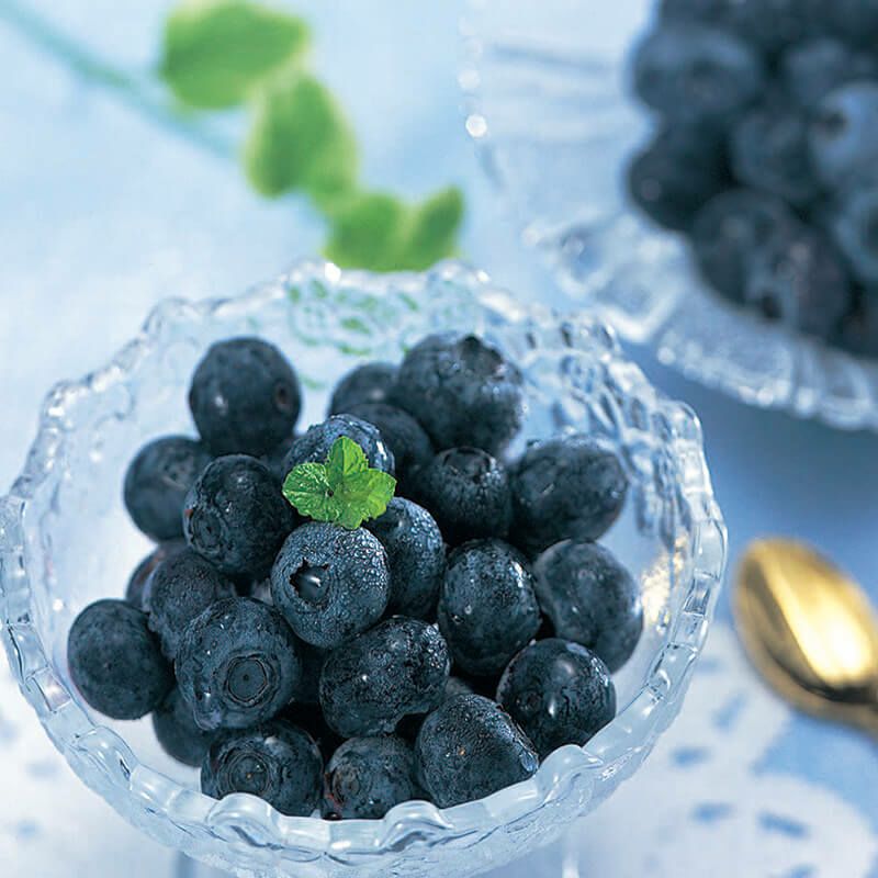 月山高原 ブルーベリー (冷凍)｜清川屋