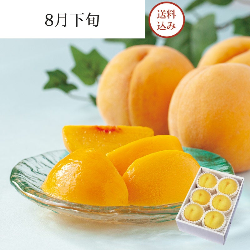 陽だまり育ち 黄金桃 6～8玉 約2kg 8月下旬お届け