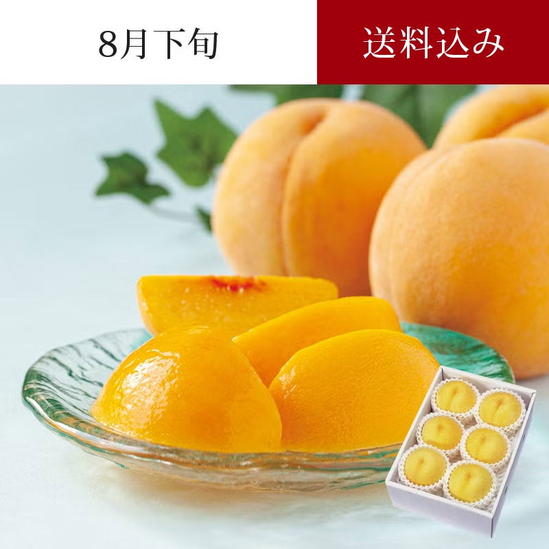 陽だまり育ち 黄金桃 6～8玉 約2kg 8月下旬お届け