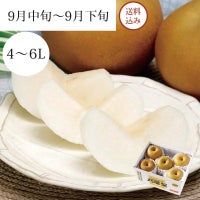 特選刈屋梨 豊水 4～5玉 約2kg 9月中旬～9月下旬お届け