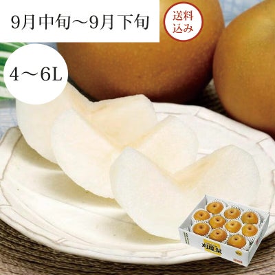  特選刈屋梨 豊水 4～5玉 約2kg 9月中旬～9月下旬お届け