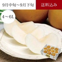  特選刈屋梨 豊水 4～5玉 約2kg 9月中旬～9月下旬お届け