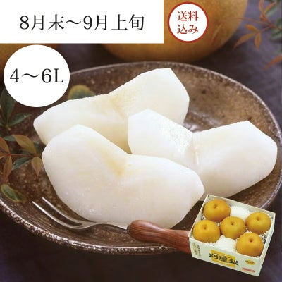 特選刈屋梨 幸水 4～5玉（約2kg） 8月末～9月上旬お届け