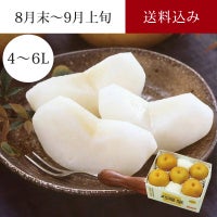 特選刈屋梨 幸水 4～5玉（約2kg） 8月末～9月上旬お届け