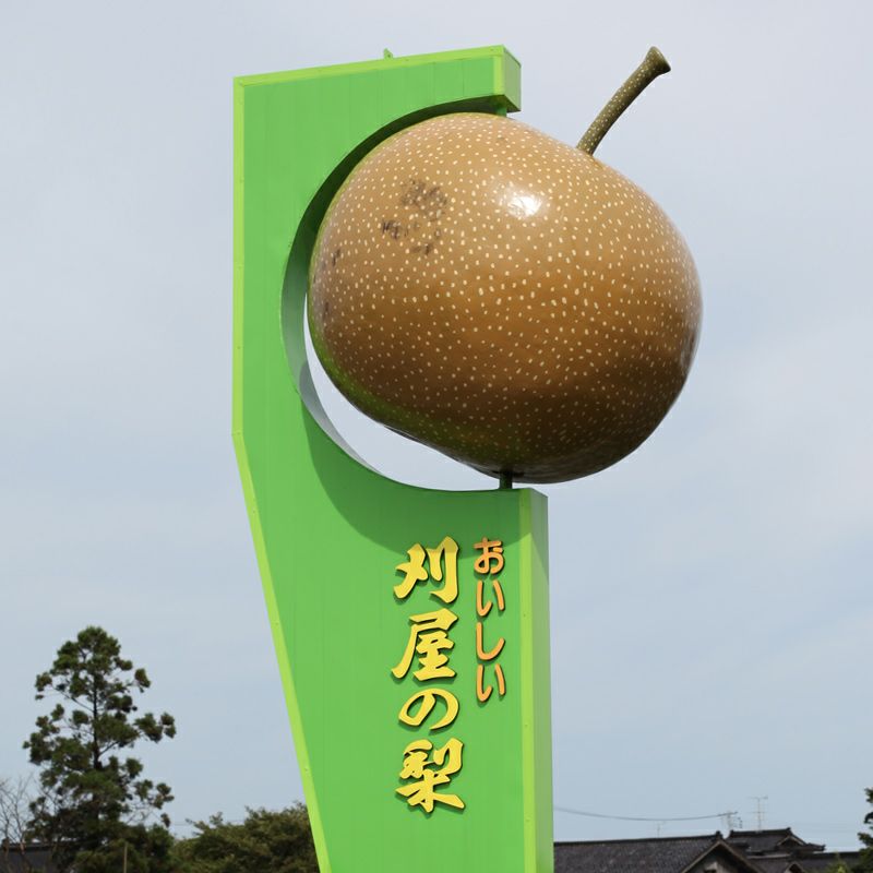 特選 刈屋梨 あきづき 2kg 山形県酒田市刈屋地区産ジューシーな和梨