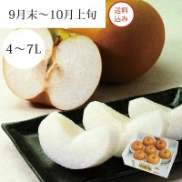 特選刈屋梨 あきづき 6～8玉 約4kg 9月末～10月上旬お届け