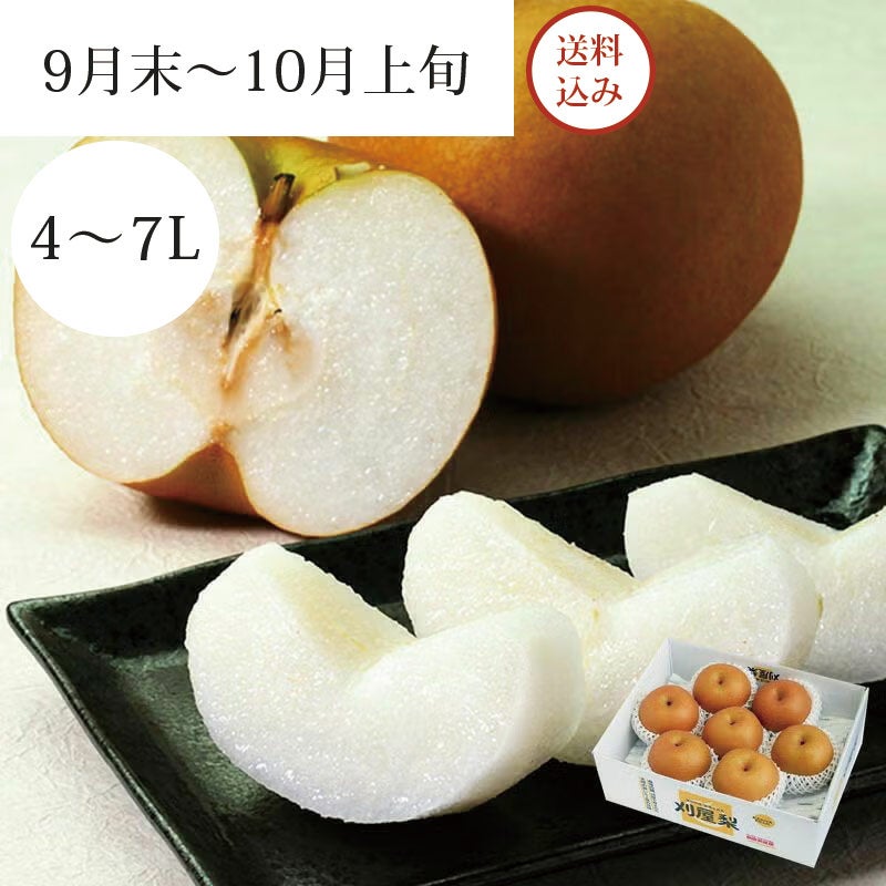 特選刈屋梨 あきづき 6～8玉 約4kg 9月末～10月上旬お届け