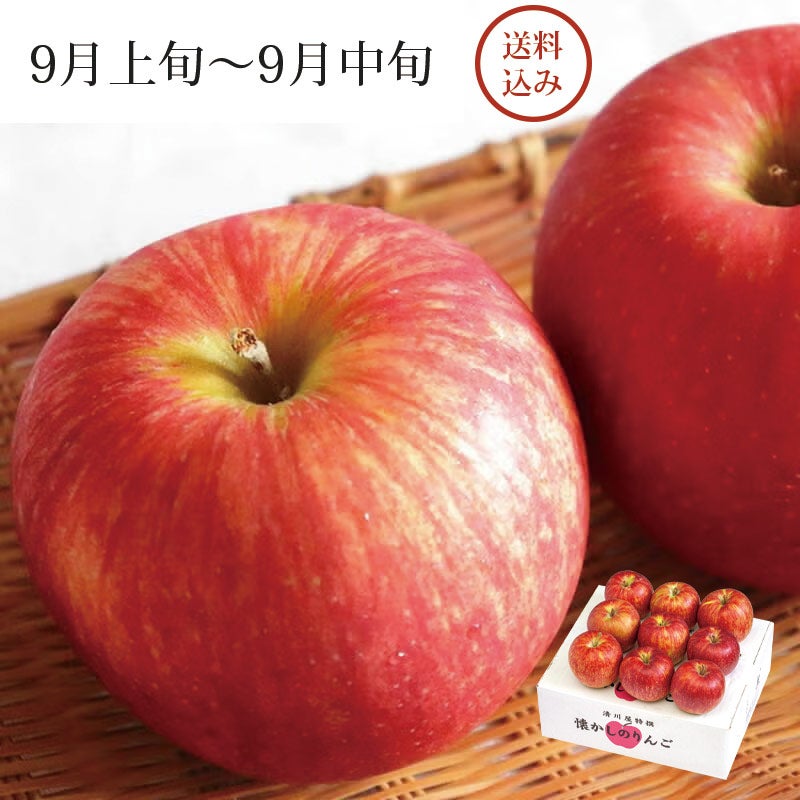 和合平産りんご つがる 8～10玉 約2.5kg 9月上旬～9月中旬お届け