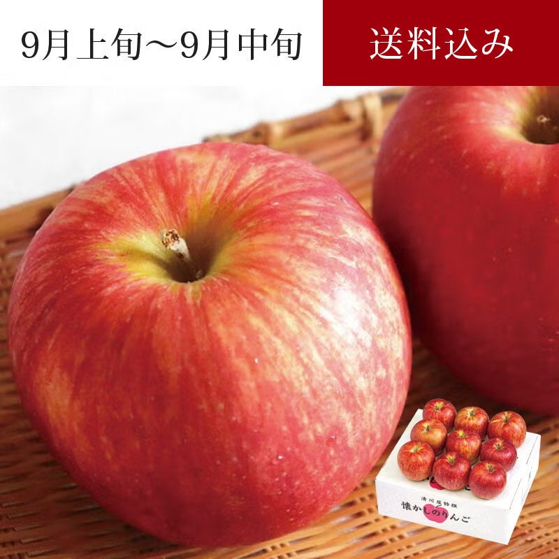 和合平産りんご つがる 8～10玉 約2.5kg 9月上旬～9月中旬お届け