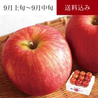 和合平産りんご つがる 8～10玉 約2.5kg 9月上旬～9月中旬お届け