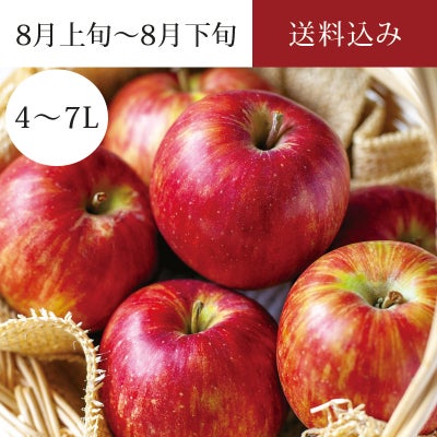 和合平産りんご つがる 8～10玉 約2.5kg 9月上旬～9月中旬お届け
