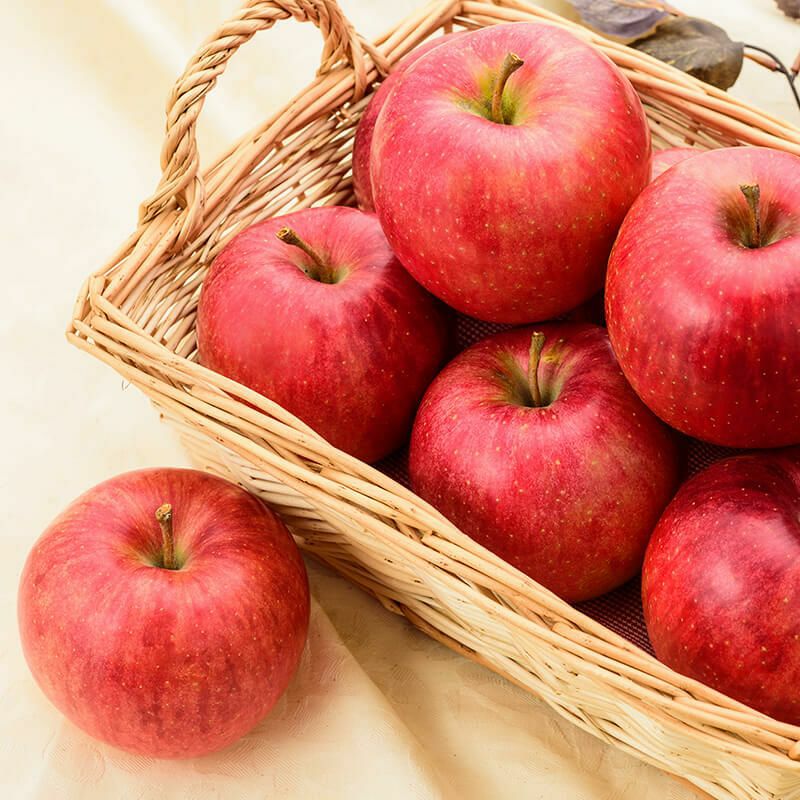 りんご　プロフ必読₍ᐢ..ᐢ₎マントルピース りんご/apple」 #羊毛フェルト #造形 #立体 #ニードルフェルト