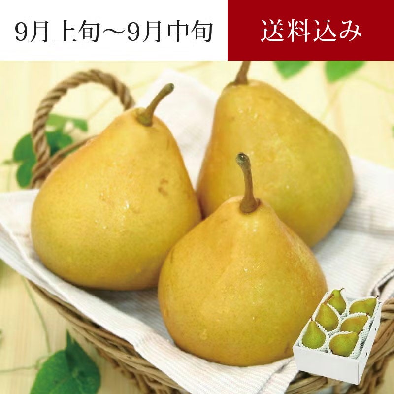 山形育ちの洋梨 オーロラ 6玉 約2kg 9月上旬～9月中旬お届け