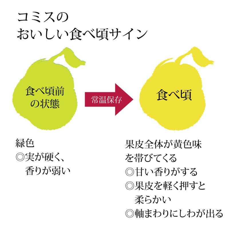 食べ頃コミス　山形県産　２箱 幻のコミス 山形県産最高峰の西洋梨｜清川屋