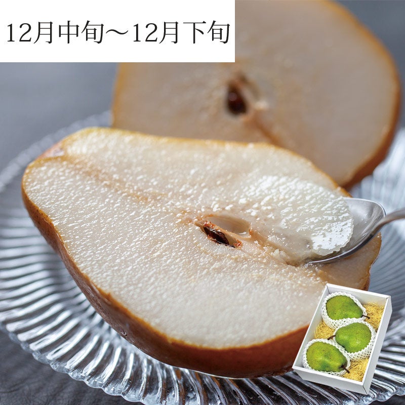 シルバーベルパッケージ_イメパケ