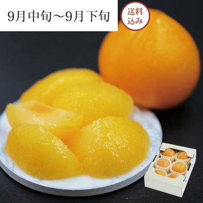 元祖 峰満イエロー 5～7玉 約1kg 9月中旬～9月下旬お届け