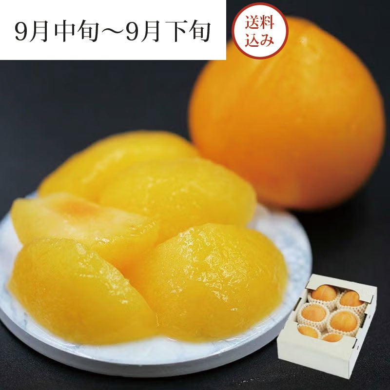 元祖 峰満イエロー 5～7玉 約1kg 9月中旬～9月下旬お届け
