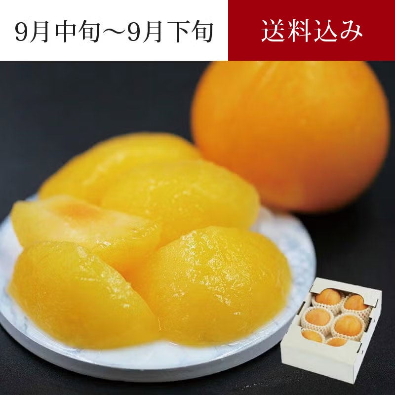 元祖 峰満イエロー 5～7玉 約1kg 9月中旬～9月下旬お届け