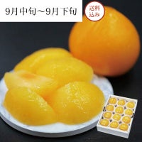 元祖 峰満イエロー 10～12玉 約2kg 9月中旬～9月下旬お届け