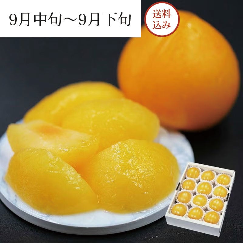元祖 峰満イエロー 10～12玉 約2kg 9月中旬～9月下旬お届け