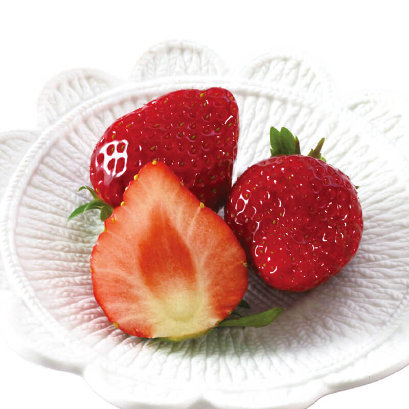 雪国の春採り苺_イメージ6