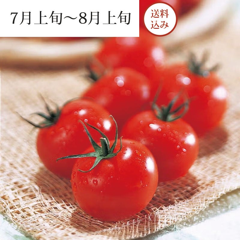 樹熟トマト_イメージ