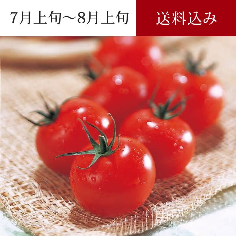 樹熟トマト_イメージ