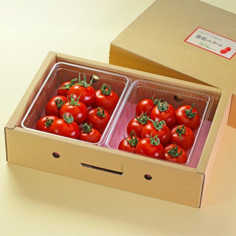 樹熟トマト 奥田シェフも絶賛した井上農場の中玉トマト｜清川屋