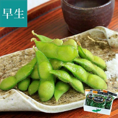 特選 だだちゃ豆  ＜早生豆＞ 8月上～中旬お届けイメージ