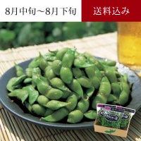 白山村産 だだちゃ豆＜本豆＞_イメージ
