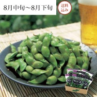 白山村産 だだちゃ豆 ＜本豆＞_イメージ