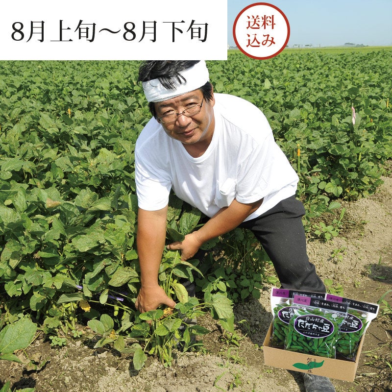 甚兵衛 白山だだちゃ豆 300g×3袋 朝採り直送名産だだちゃ豆｜清川屋