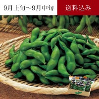 尾浦 だだちゃ豆
